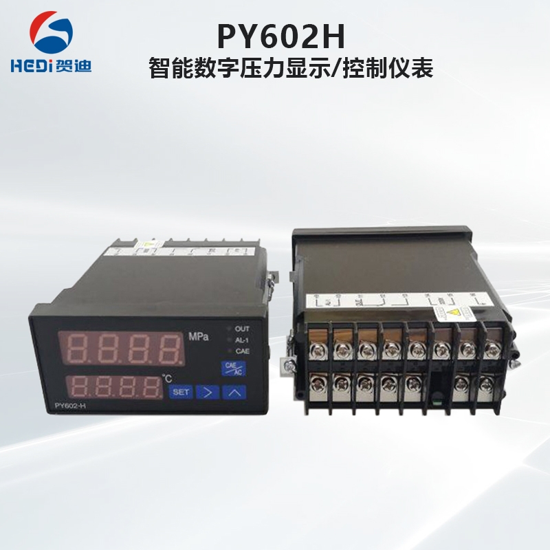 PY602H智能數(shù)字溫度壓力表擠出機(jī) 歡迎咨詢